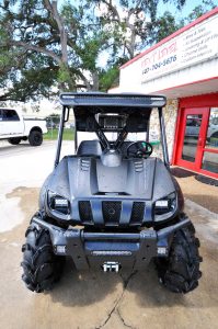 yamaha rhino custom